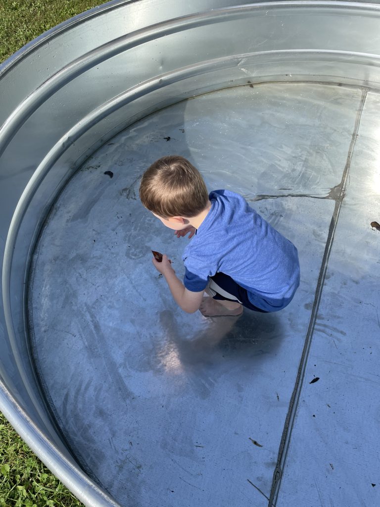 Stock tank in backyard.